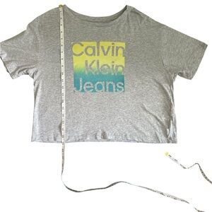 3/$30 Calvin Klein Gray T-Shirt